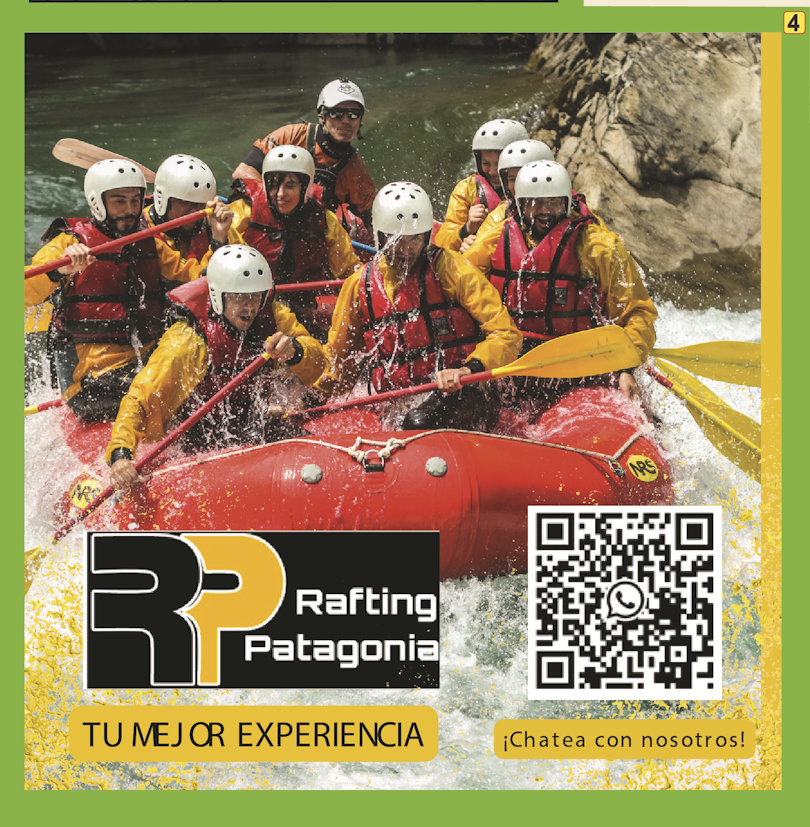 Prestador Ciudad Pública 3